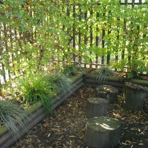 Our Woodland Area