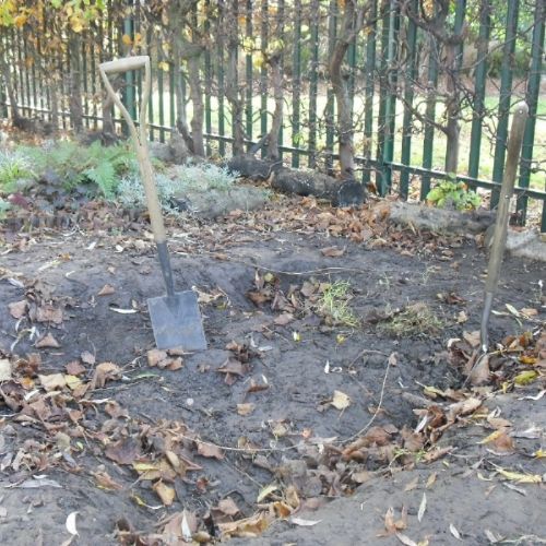 Our Digging Pit